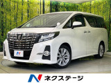 両側電動ドア BIG-X10型ナビ 後席モニター バックカメラ 禁煙車