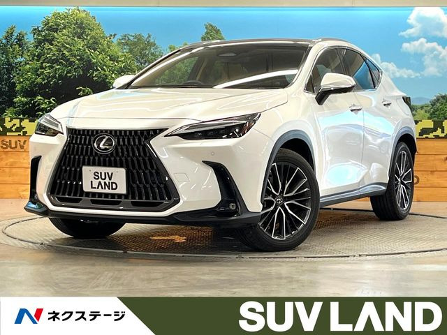 NX 250 バージョンL 