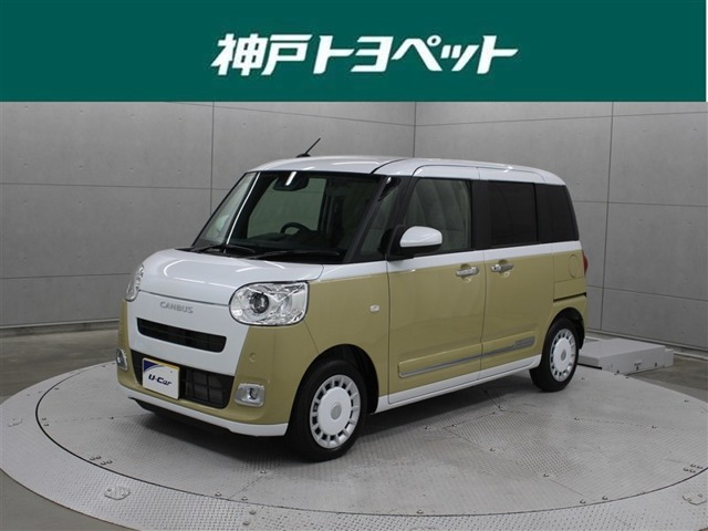 ムーヴキャンバス  ストライプス G