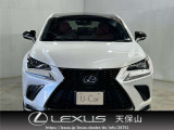 NX 300h Fスポーツ 