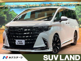 禁煙車 モデリスタエアロ ガラスルーフ フリップダウン JBLサウンド
