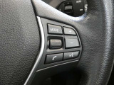 ステアリングのスイッチでオーディオと電話のハンズフリー操作ができます。スピーチコントロール(音声入力システム)付き