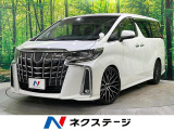両側電動ドア 純正ナビ 後席モニター バックカメラ ブラインドスポット