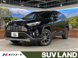 パノラマルーフ メーカー10.5型ディスプレイ 全周囲カメラ