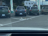 ◆北は北海道から南は沖縄まで、ご購入いただいたお車は全国にご納車が可能です!お電話、メール、動画などでリモートでお車のご案内も可能です!親切、丁寧に対応させて頂きますのでお気軽にご相談ください!