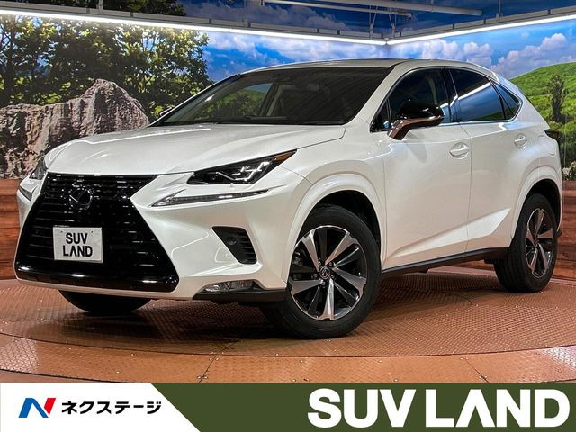 NX 300 ブラック シークエンス