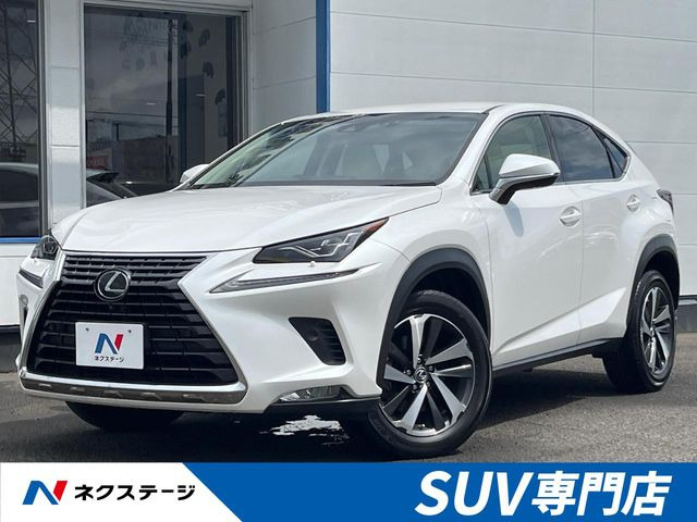 NX 200t Iパッケージ 