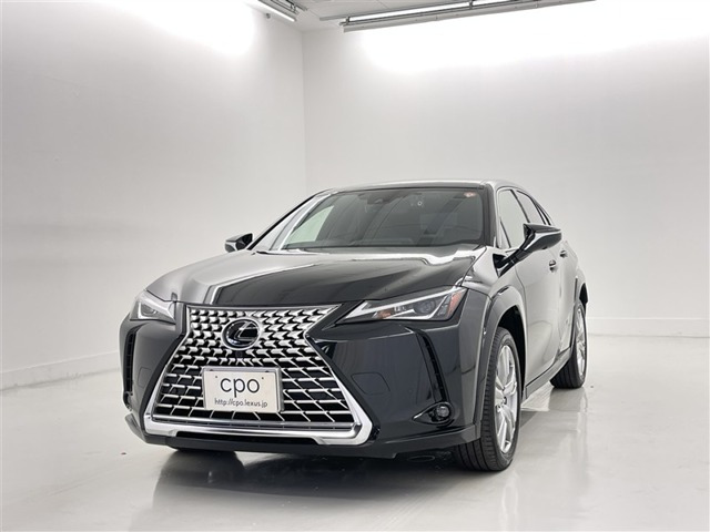 UX 250h グレイスフル エクスプローラー