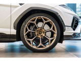 Rims Pelope 23  with titanium wheel bolts - Diamond finished Bronze