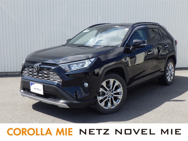 RAV4 2.0 G Zパッケージ 4WD