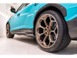 23 PZero Tires 285/35 front, 325/30 rear