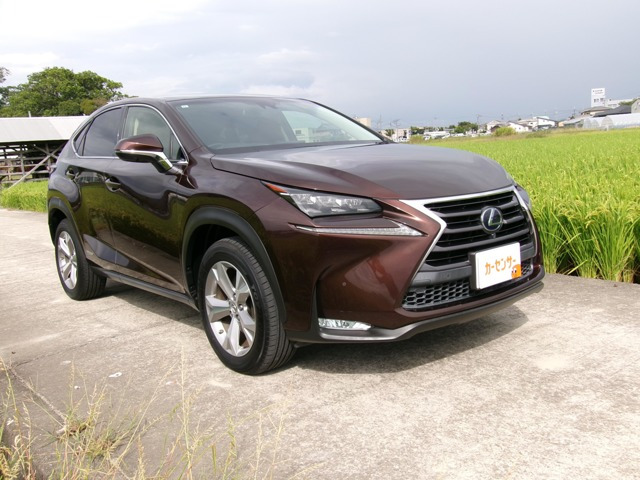 NX 300h バージョンL 4WD