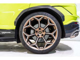 Rims Pelope 23  Diamond finished Bronze with titanium wheel bolts