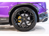 Rims Pelope 23 Shiny Black with Titanium wheel bolts