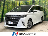 ムーンルーフ 純正14型ナビ フリップダウンモニター 全周囲カメラ