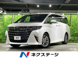 ガラスルーフ 純正14型ナビ 両側電動ドア 後席モニター 全周囲カメラ