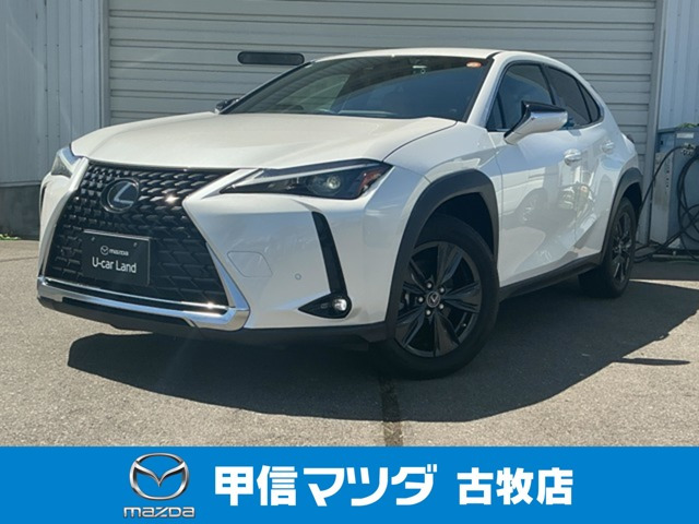 UX 250h バージョンC