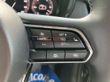 登録した速度に保ち走行するレーダークルーズコントロール付き。高速やバイパスでの運転支援に役立つ便利アイテムです!