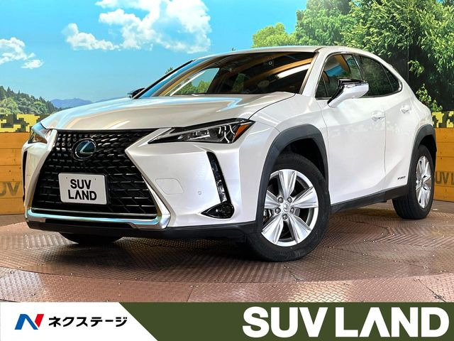 UX 250h バージョンC
