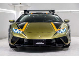 Pack4-Sterrato Livery on Front Bonnet and Roof Shiny