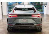 Rear Lamborghini logo matt black