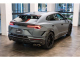 Rear Lamborghini logo matt black