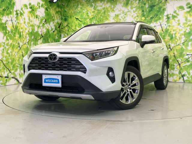RAV4 2.0 G Zパッケージ 4WD 