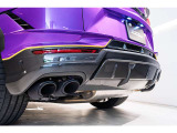 Exhaust Tailpipes Akrapovic matt black