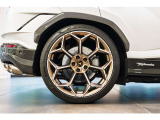 Black caliper
