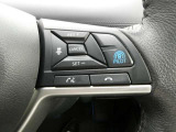 設定した車速で車線の真ん中を走行、設定した車間を保って前車を追従走行して、長距離ドライブの疲労を軽減する、同一車線運転支援技術「プロパイロット」を搭載しております!