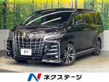 サンルーフ 11型BIG-X 後席モニター バックカメラ 両側電動ドア