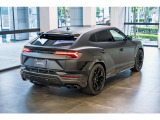 Rear spoiler in carbon fiber - Shiny