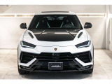Bonnet in Shiny Carbon Fiber Livery