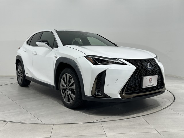 UX 250h Fスポーツ