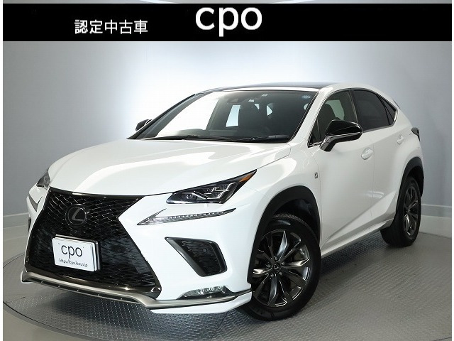 NX 300 Fスポーツ 