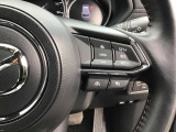 レーダークルーズコントロールを装備。アクセルやブレーキを操作しなくても、自動で先行車との車間距離を保ち追従走行できます。長距離や高速道路を運転する際に、ドライバーへの負担を軽減します。
