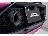 Tailpipes in matt black