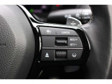 ACC(アダプティブクルーズ)+LKAS(レーンキープアシスト)で長距離運転が楽々になります。