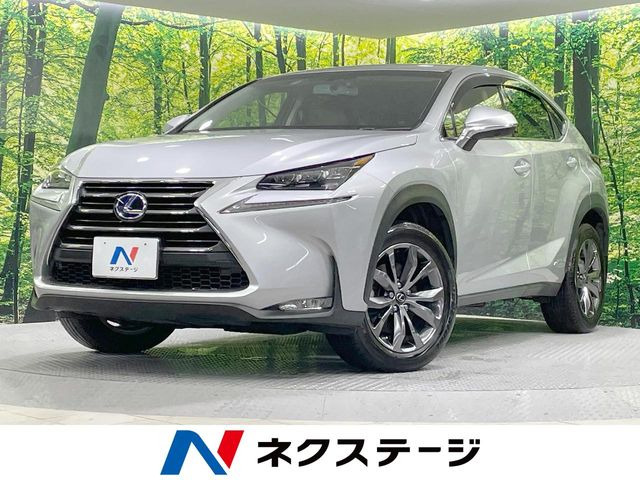 NX 300h Iパッケージ
