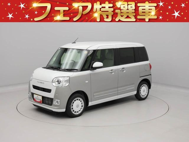 ムーヴキャンバス  ストライプス G