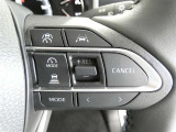 ステアリングスイッチでクルーズコントロール機能の操作ができます。長距離の高速走行時の疲労軽減や燃費に役立ちます。