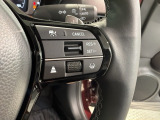 クルーズコントロールを装備しています。高速道路などで一定の速度で走ってくれるので運転が楽ですよ!速度を設定できますので、スピードの出しすぎにも注意できます。