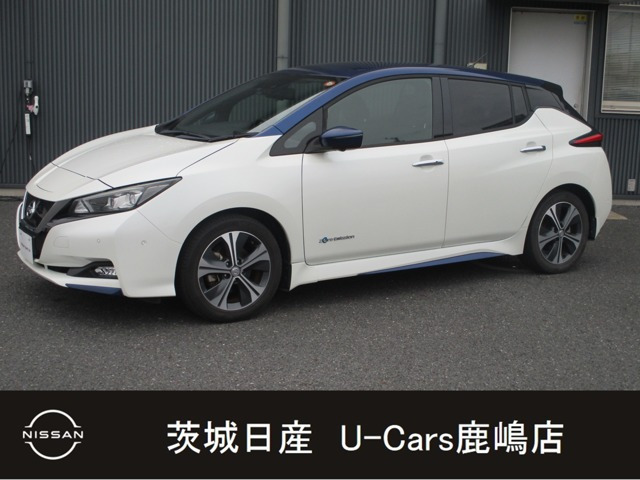 リーフ G