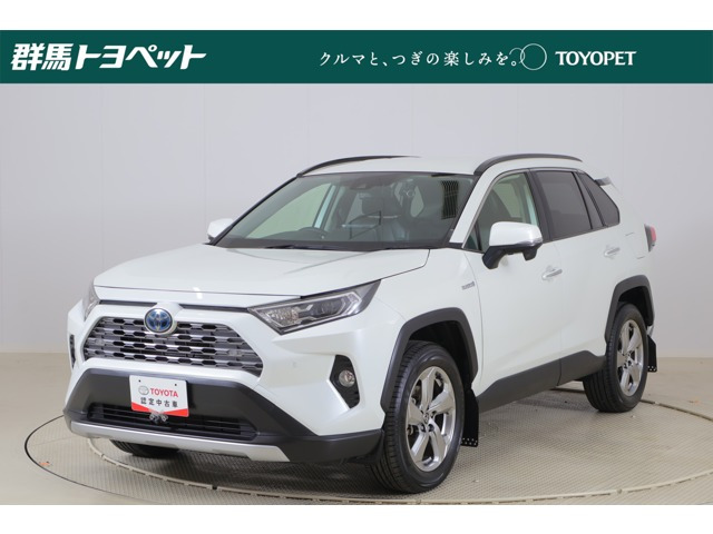 RAV4 2.5 ハイブリッド G E-Four 4WD 