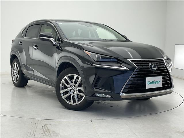 NX 300h 修復歴無し