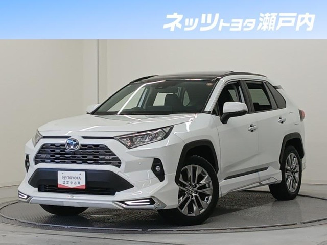 RAV4 2.0 G Zパッケージ 4WD