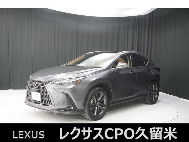 NX 250 バージョンL NX 250 バージョンL