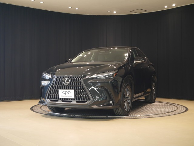 NX 250 バージョンL 4WD