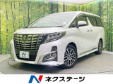 両側電動ドア SDナビ 後席モニター バックカメラ 100V電源