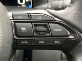 前方の車との車間を設定し、スピードを上げたり緩めたりを自動で行ってくれる追尾式の「レーダークルーズ」。上級装備の一つです!高級車にしかつかない嬉しい機能です。